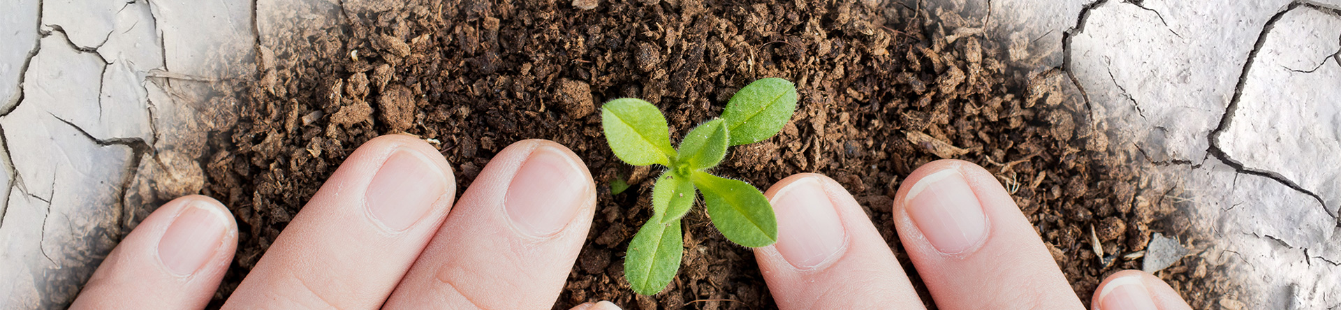 18����luck��(�й�)-�ٷ���վ